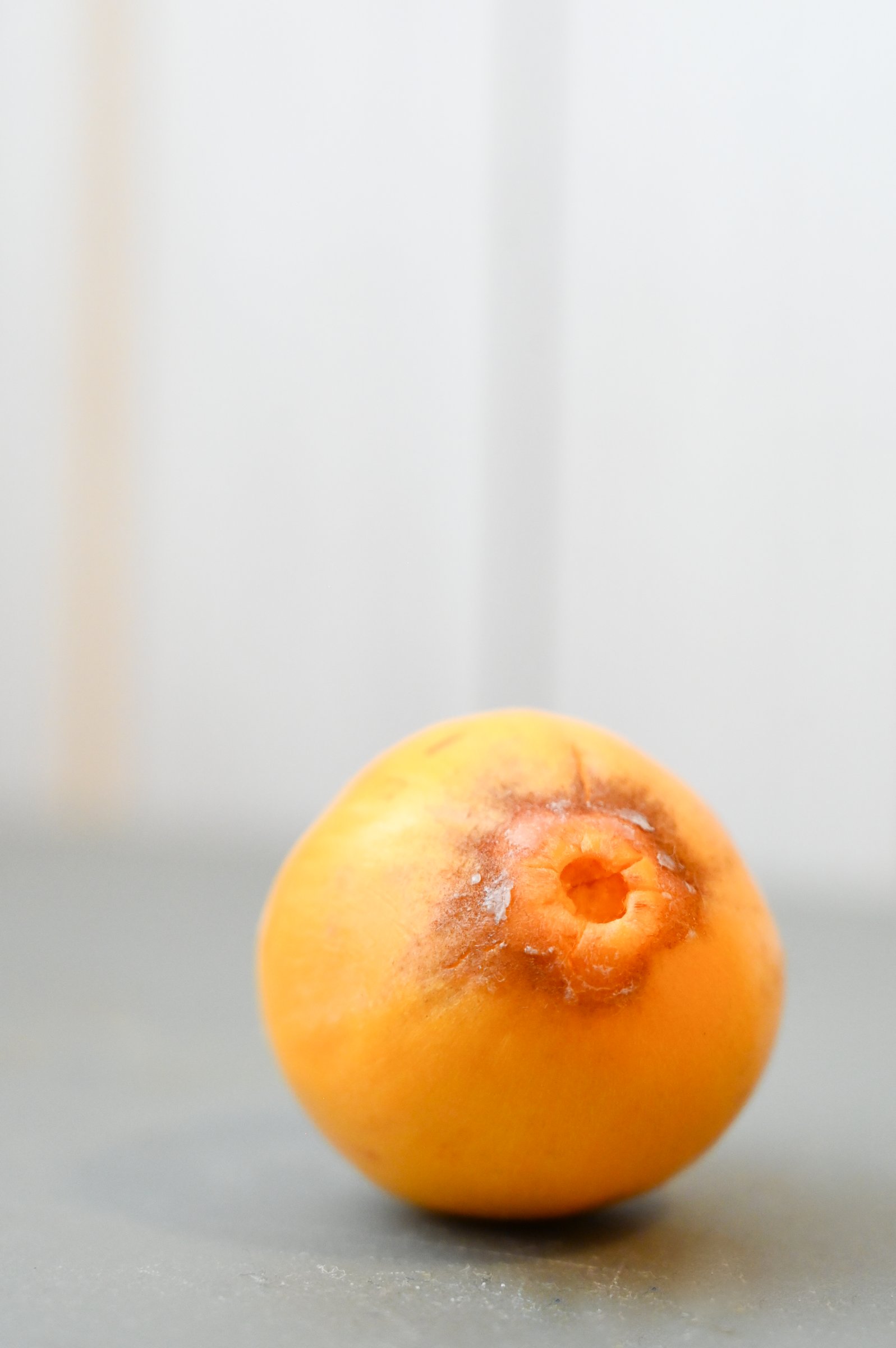 Dirty Fruit series — Fruit Study XXXV